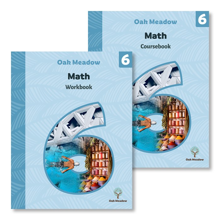 Buku guru matematika kelas 6