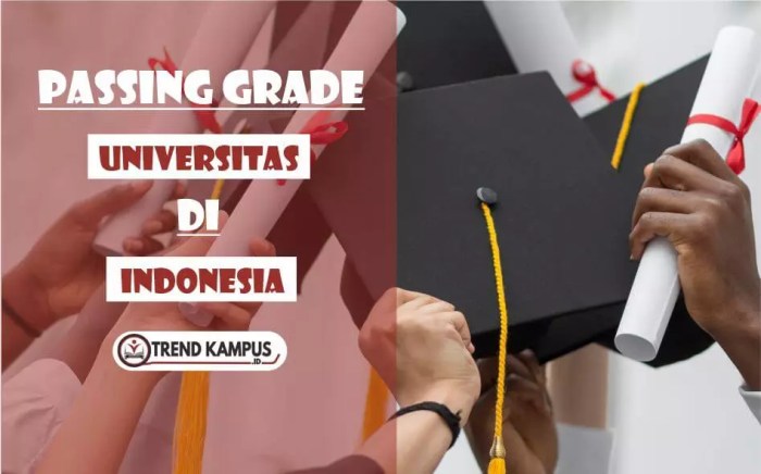 Passing grade universitas indonesia