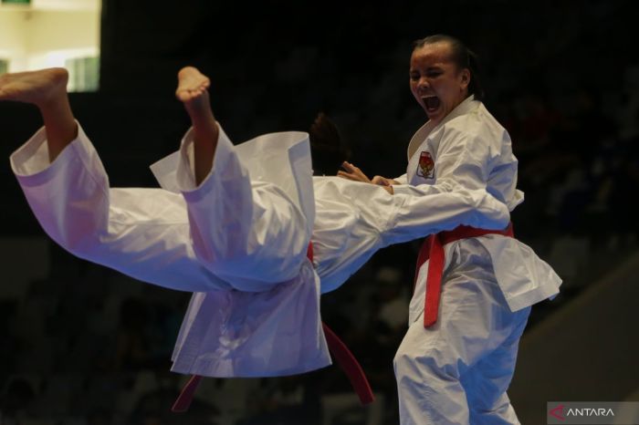 Sejarah karate di indonesia