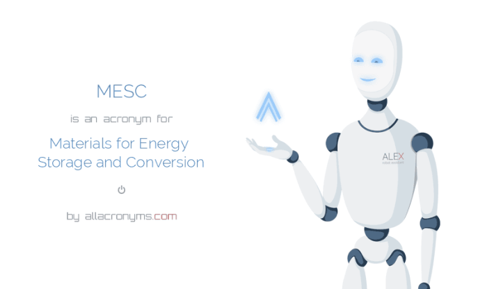 Erasmus materials for energy storage and conversion mesc s2 1