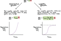 Equation logistic population exponential