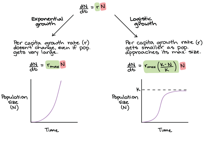 Equation logistic population exponential