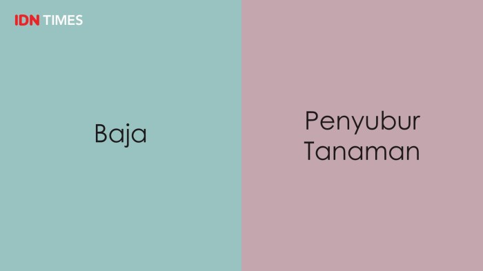 Bahasa baik berbahasa perbedaan benar contoh