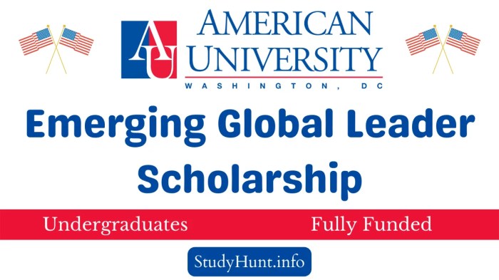 American university emerging global leader scholarship beasiswa kuliah s1