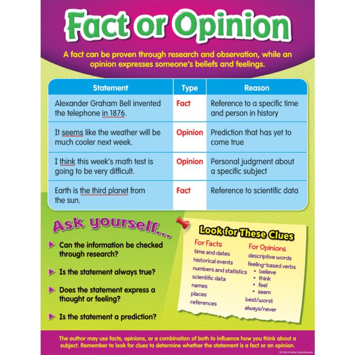 Opinion fact facts opinions chart anchor writing statements grade connections crafting reading activities vs class students anchors monday away activity