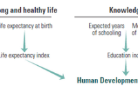 Hdi calculating