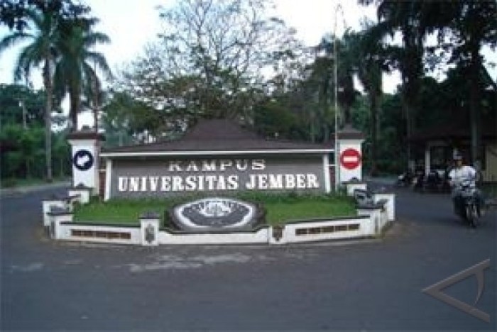 Biaya kuliah universitas jember jalur mandiri