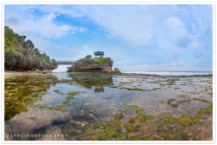 Beach kukup sandy gunungkidul beauty white