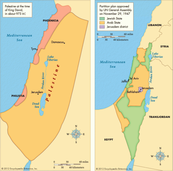 Buku sejarah palestina