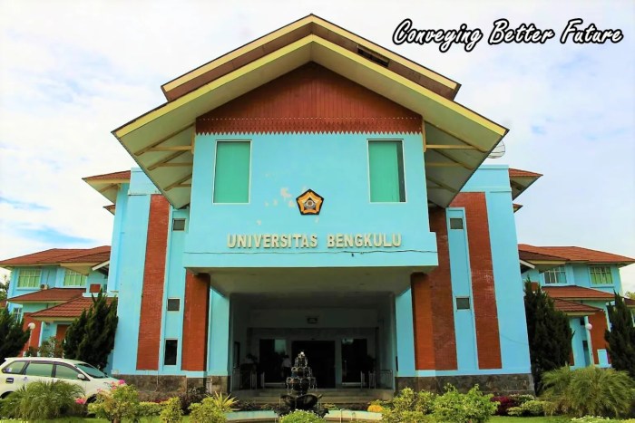 Universitas bengkulu negeri atau swasta