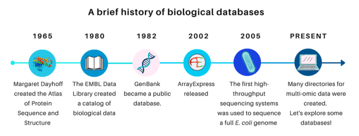 Sejarah database