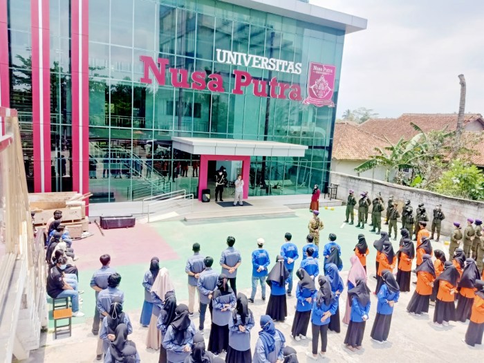 Ecampus universitas nusa nipa