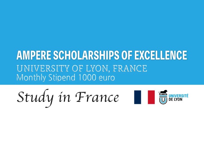 Ampre scholarships of excellence universit de lyon s2 1