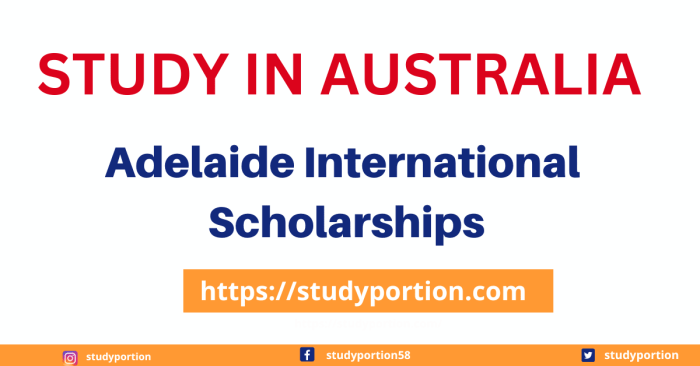 Adelaide international scholarship s3 2