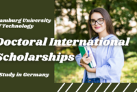 Universitat hamburg doctoral scholarship s3 2