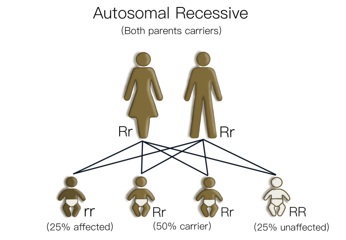 Inheritance class protected private public table access types derived modes members specifier base geeksforgeeks