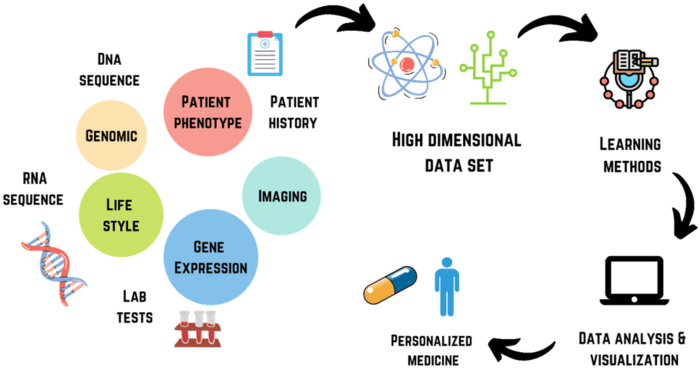 Implementation medical science track ims of data science medicine global leader program dsglp tokyo medical and dental university s2 1