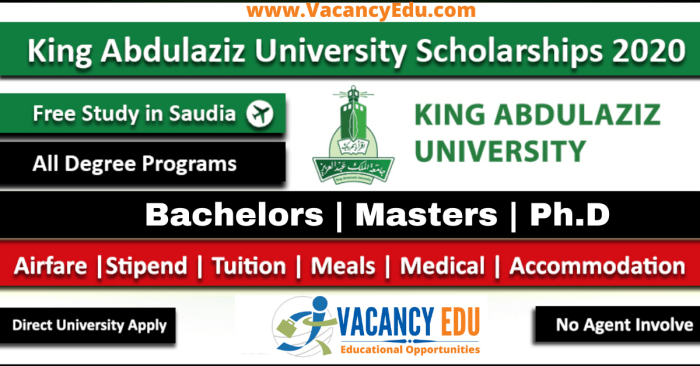 King abdul aziz university scholarship s2 1