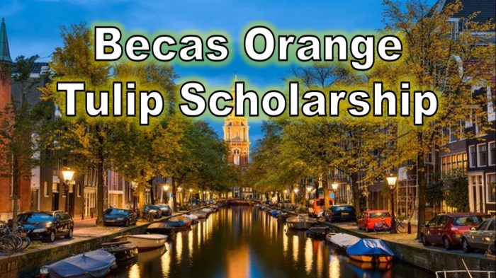 Beasiswa s1 orange tulip scholarship di hague university belanda