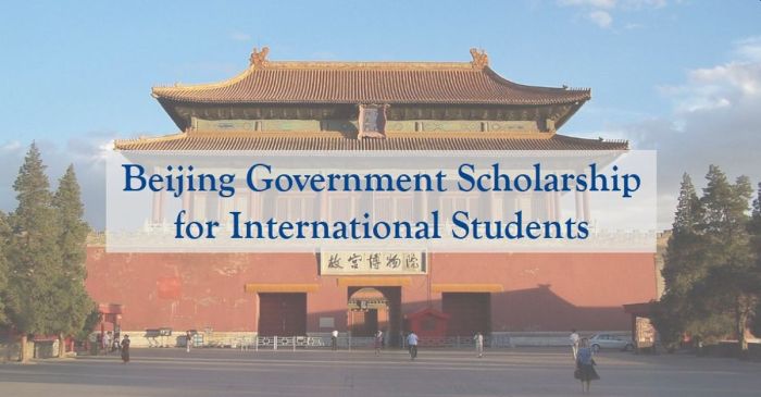 Beijing government scholarship s2 1