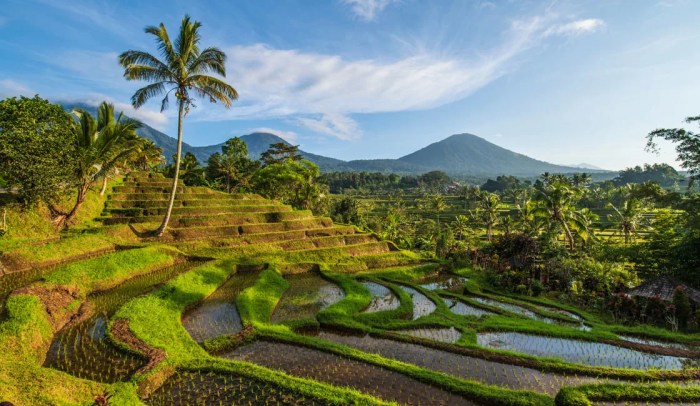 Motivasi canva semangat keren penyemangat kalimat arti hidup mutiara kumpulan penuh cse jika bukanlah singkat mempunyai memberi