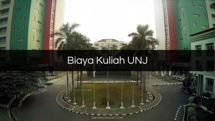 Universitas jakarta biaya