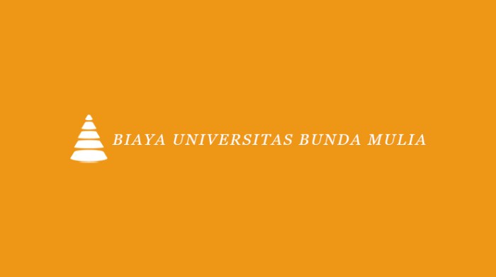 Universitas bunda mulia harga