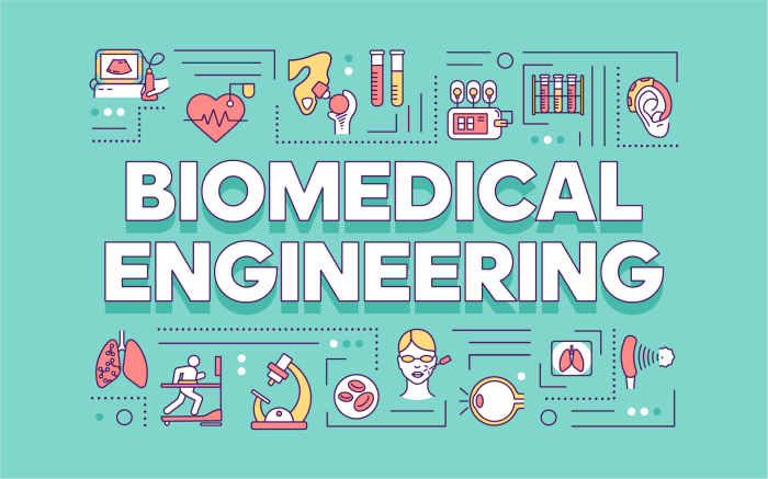 Teknik biomedik ada di universitas mana