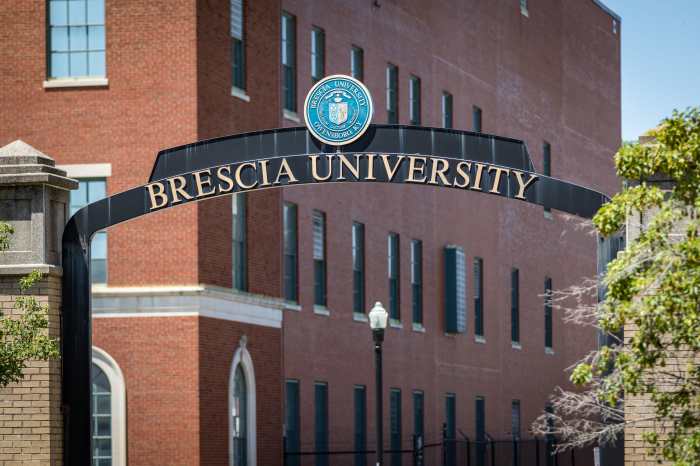 Brescia phd programmes