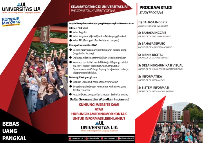 Universitas lia