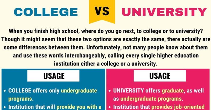 College university difference between rank