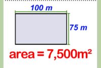 Metre addressofchoice