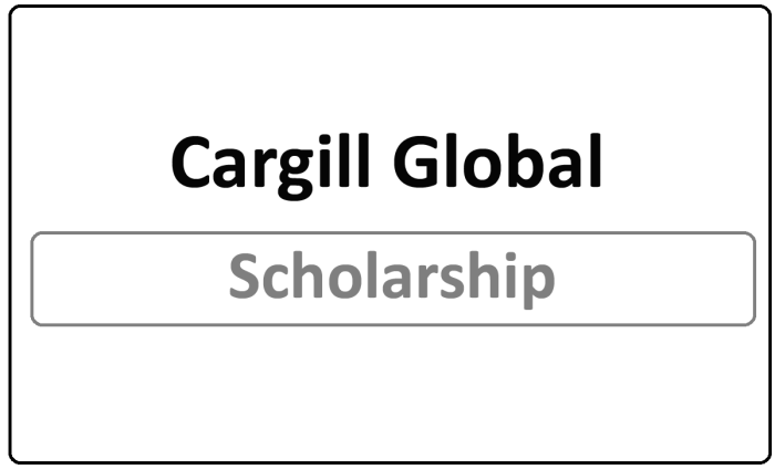 Cargill performing talented undergraduate