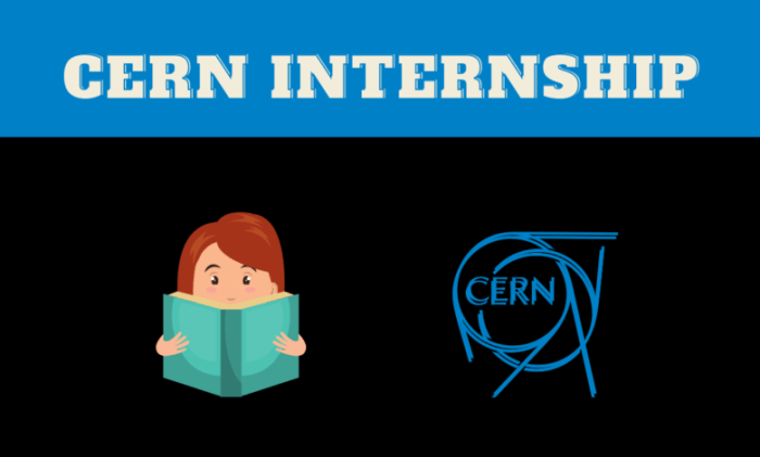 Cern short term internship 2023 nondegree 1