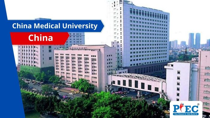 Universitas kedokteran terbaik di china