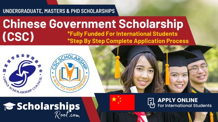 Chinese government scholarship csc scholarship s1 1