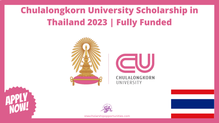 Chulalongkorn university scholarship for international graduate students s3 2