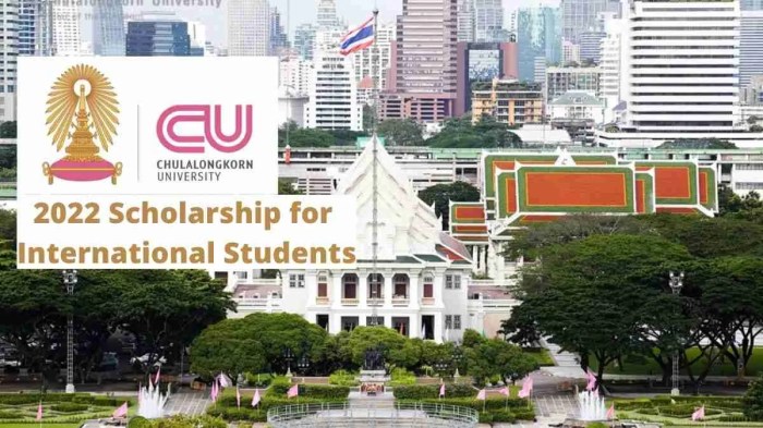 Chulalongkorn university scholarship for international graduate students s3 2