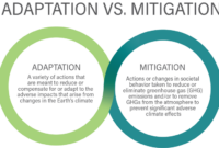 Mitigation disaster disasters hurricane inspect