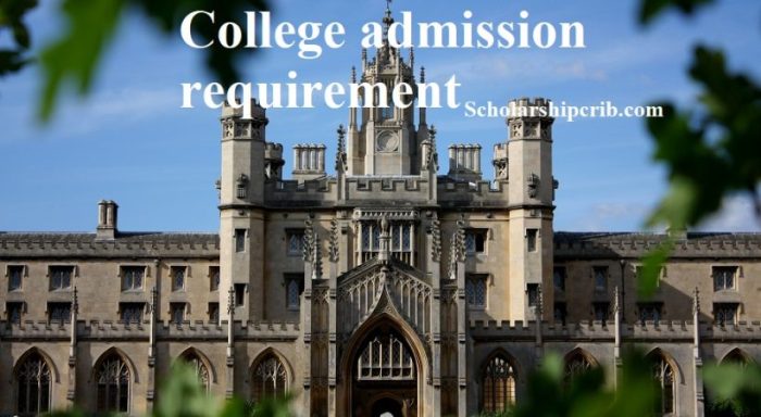 College admission requirements admissions workshop ppt powerpoint presentation