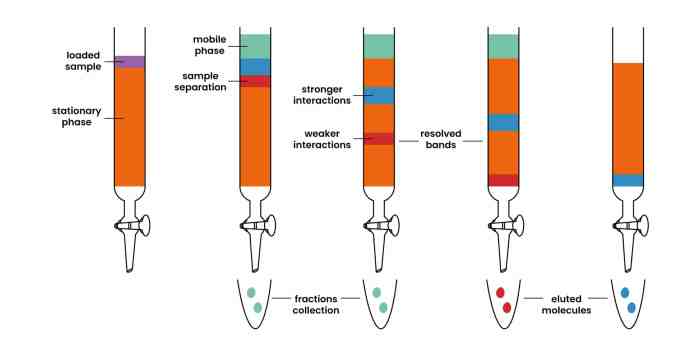 Tlc chemistry chamber solvent