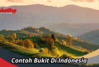 Hill artinya dalam bahasa indonesia