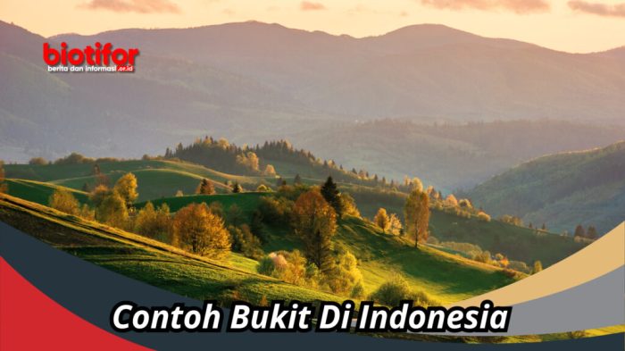 Hill artinya dalam bahasa indonesia