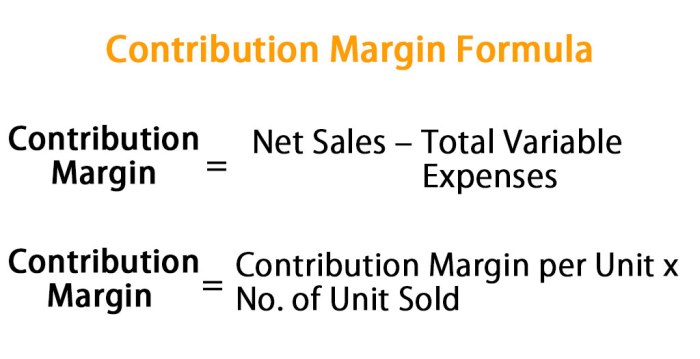 Contribution margin lead form compute dummies qualifying ads questions add