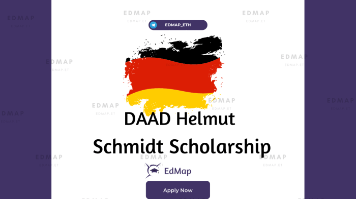 Helmutschmidtprogramme daad universitt magdeburg peace and conflict studies s2 1