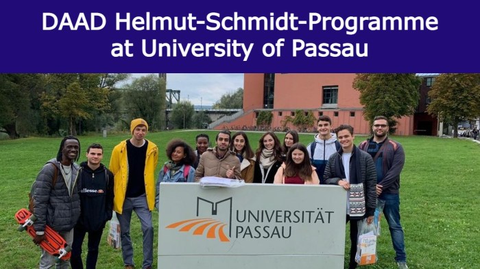 Helmutschmidtprogramme daad university of passau master of governance and public policy and ma development studies s2 1