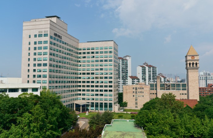 Sejong universitysearca joint graduate research scholarship s2 s3 1