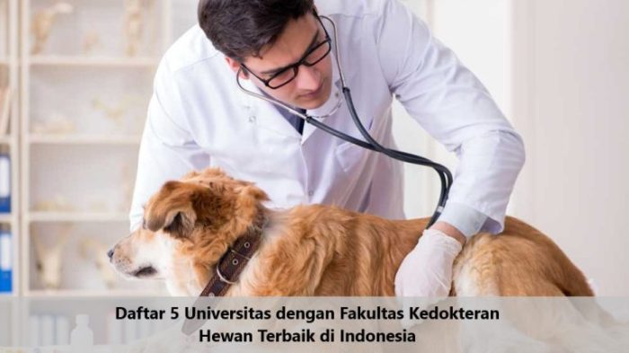 Veterinary colleges vet