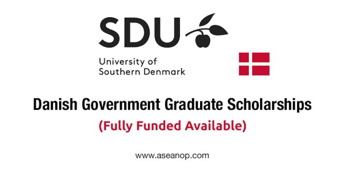 Danish government scholarship s2 2