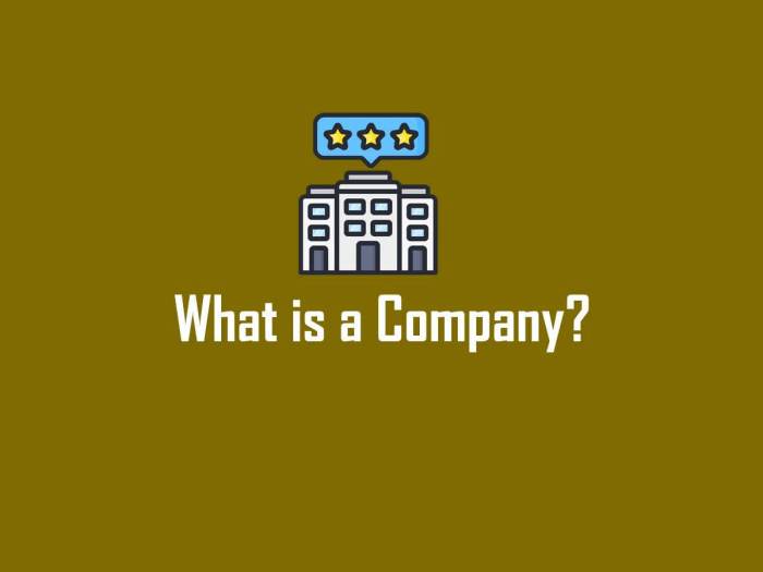 Company types definition meaning private other